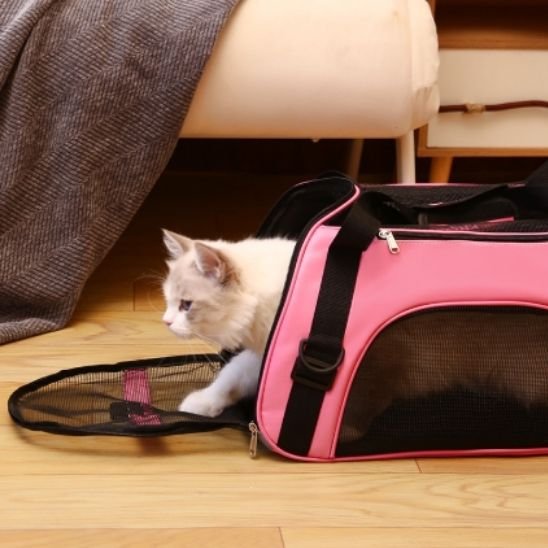 Sac de transport pour chat | Comfy Secure