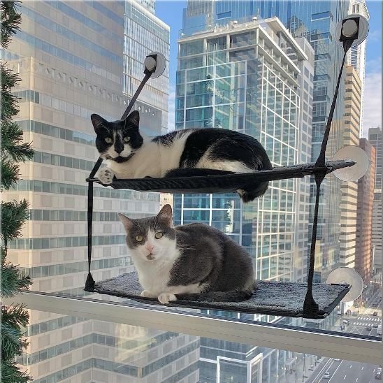 Hamac Chat Fenêtre | Confort Félin
