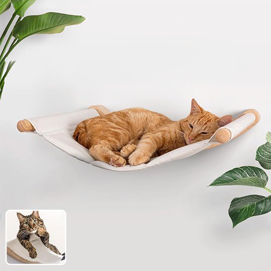 Hamac Chat | Ultra-Confortable