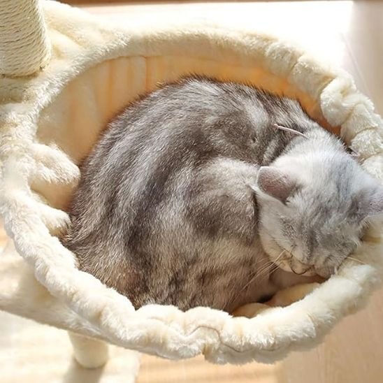 Hamac pour chat | Ultra-doux