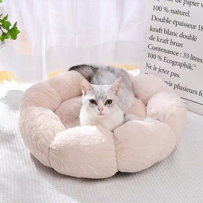 Coussin pour chat | Ultra-Moelleux