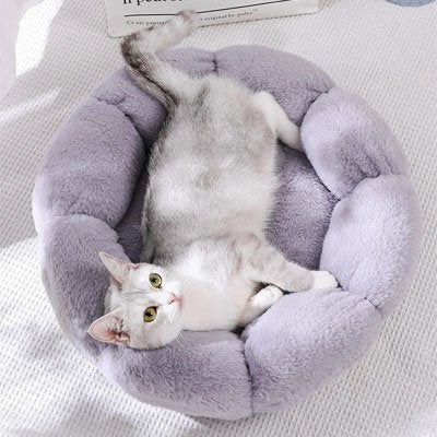 Coussin pour chat | Ultra-Moelleux