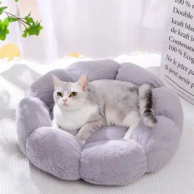 Coussin pour chat | Ultra-Moelleux