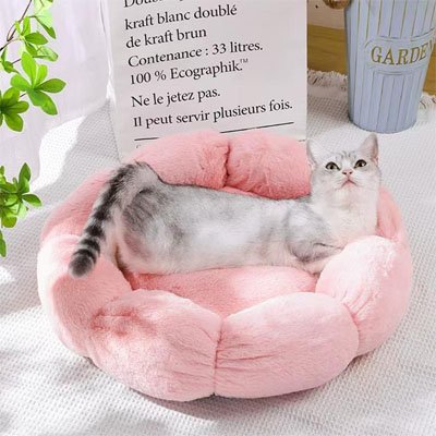 Coussin pour chat | Ultra-Moelleux
