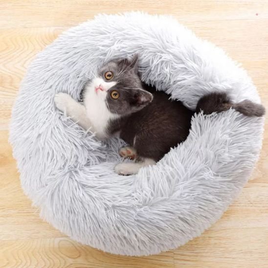 coussin chat | Ultra-Confortable