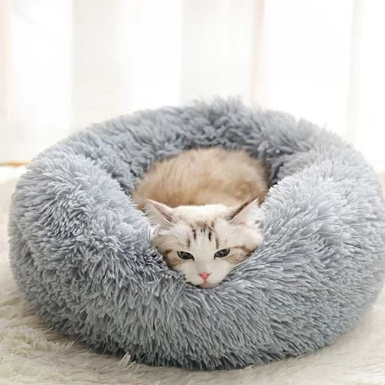 coussin chat | Ultra-Confortable