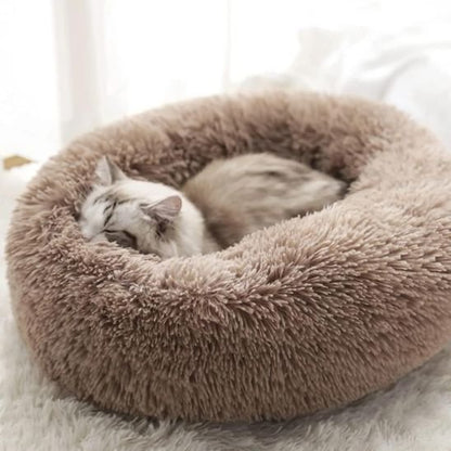 coussin chat | Ultra-Confortable