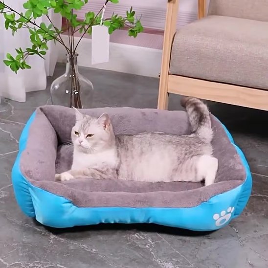 Panier Chat | Design Élégance