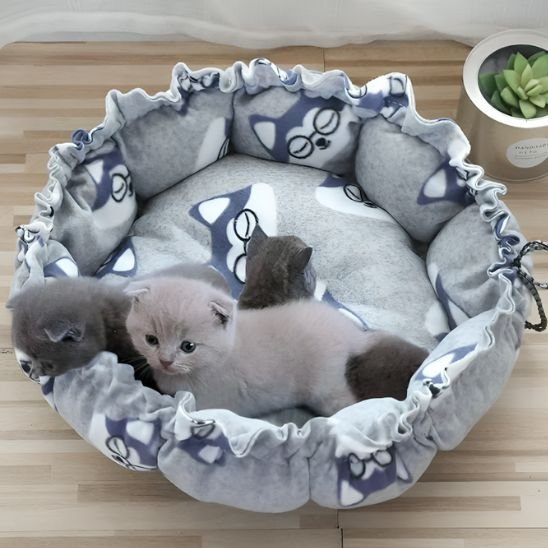 coussin chat | Ultra-Doux Royal