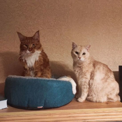 Panier pour chat | Douillet Design