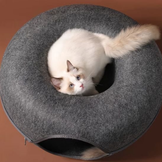Lit pour chat douillet et design | Ergonomique