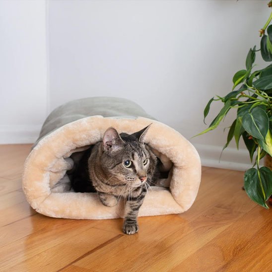 Coussin chat | Ergonomique