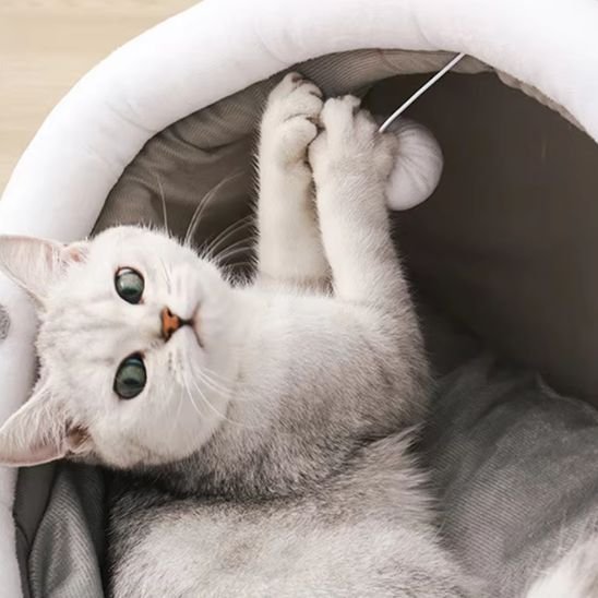 Panier pour chat | Comfort Design