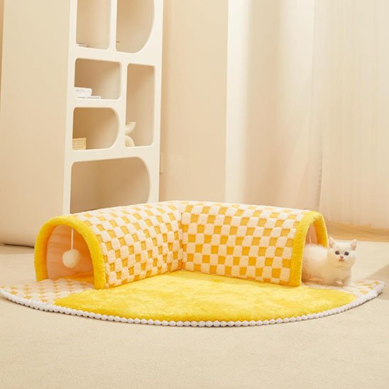 Tunnel chat | Pliable
