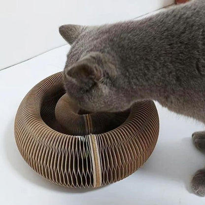 Griffoir pour chat | ProMeuble