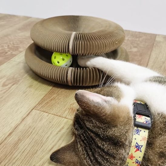 Griffoir pour chat | ProMeuble