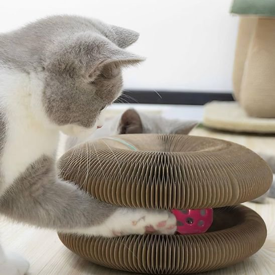 Griffoir pour chat | ProMeuble