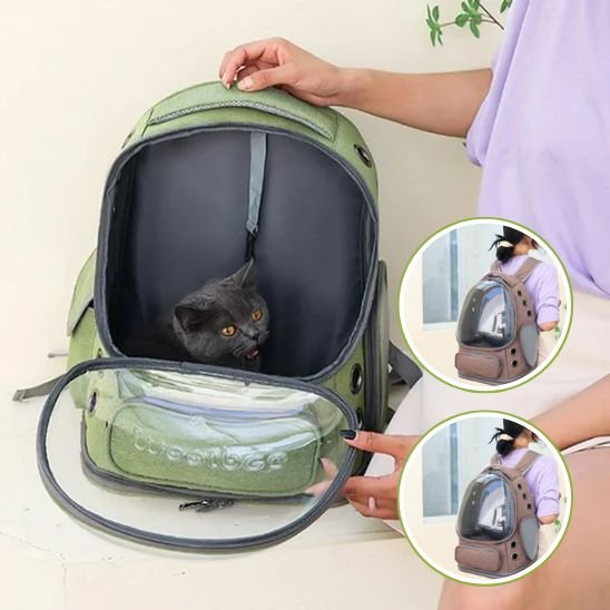 Sac à dos chat à bulle d'observation | Voyafelins