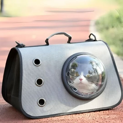 Sac transport chat | Bubbleview