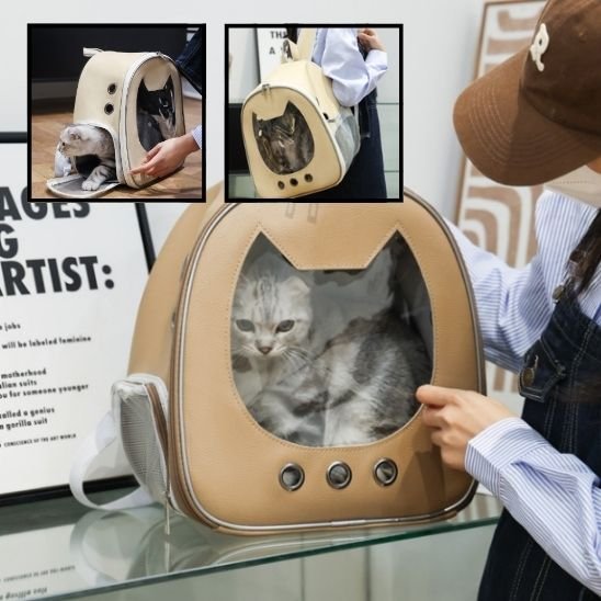 Sac a dos chat | Transparent