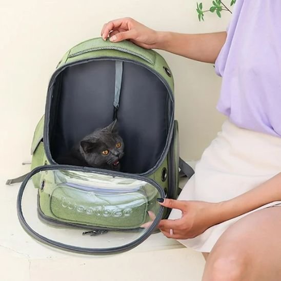 Sac à dos chat à bulle d'observation | Voyafelins