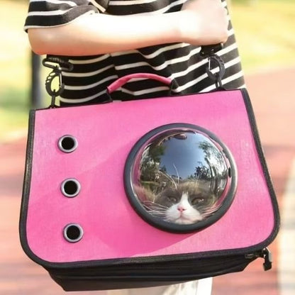 Sac transport chat | Bubbleview