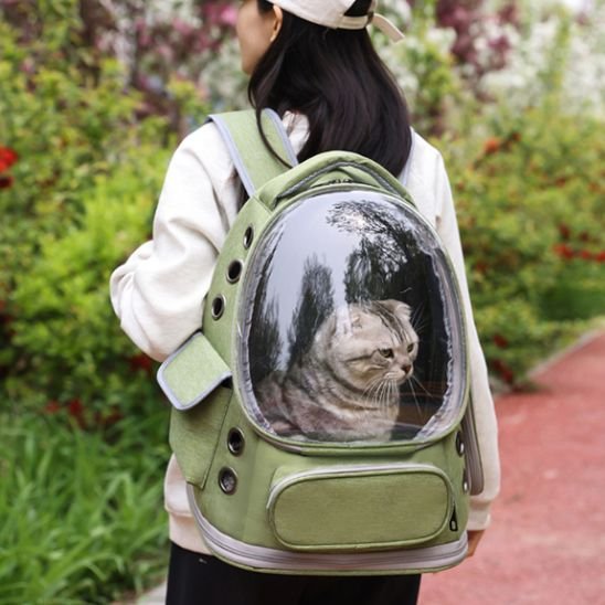 Sac à dos chat à bulle d'observation | Voyafelins