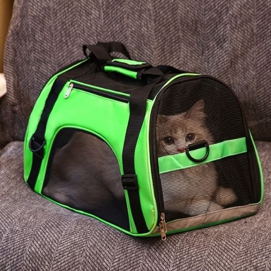 Sac de transport pour chat | Comfy Secure