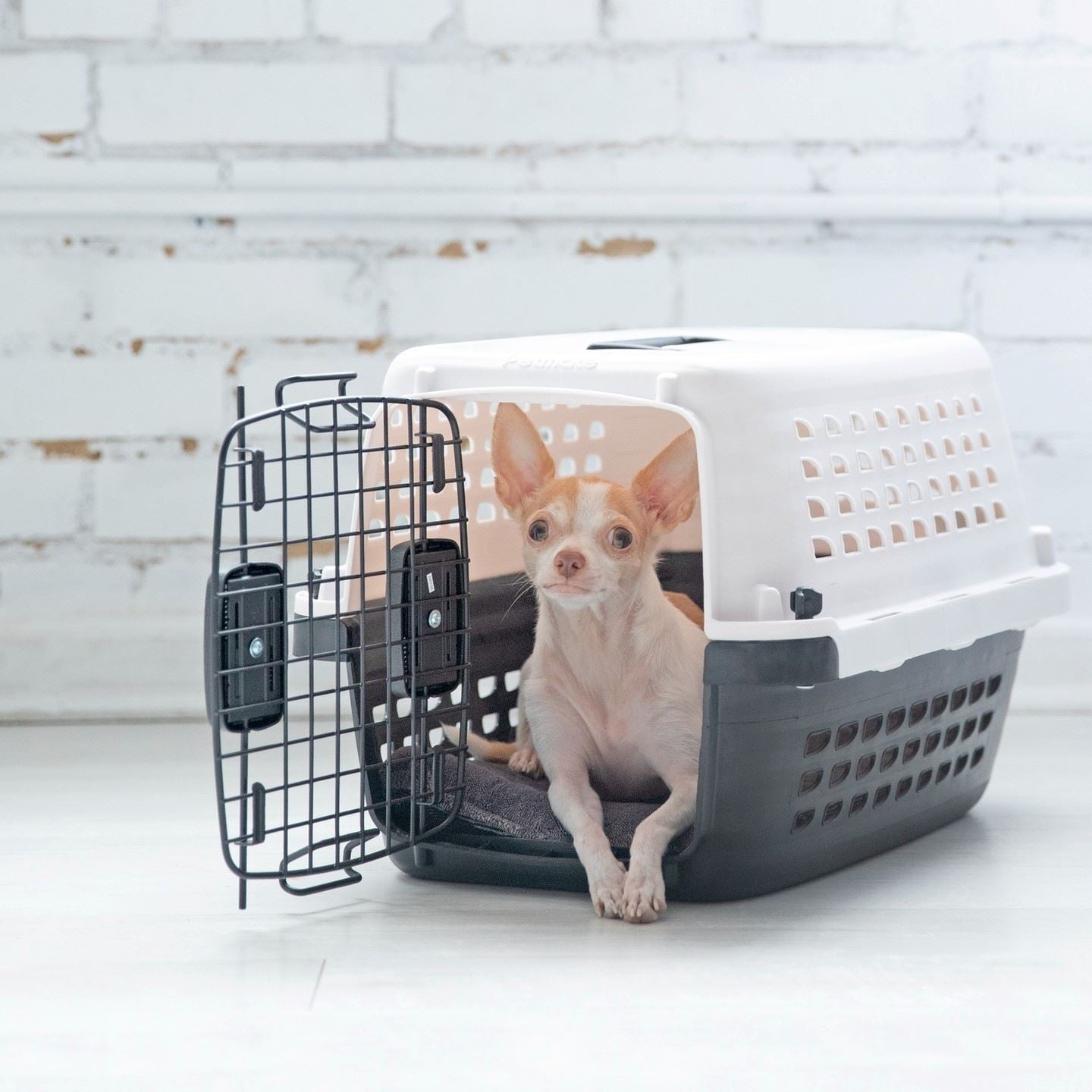 Cage de Transport Pour Chat - PetFlightCase™- Gris
